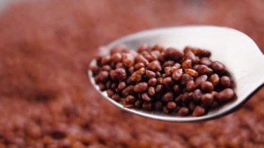 Kahve baharatı ya da kakao parçacıkları, çay kaşığından yavaş çekimde dökülüyor. Aromatik içecek malzemesi. Makro çekim