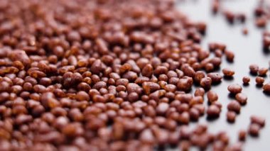 Kakao ve kakule içerikli kahve baharatı. Döndürme. Makro çekim