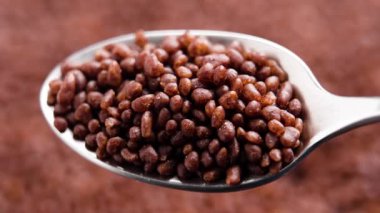 Kakao malzemelerinden yapılmış kahve baharatlı granüller ve metal kaşıkta kokulu kakule. Makro çekim