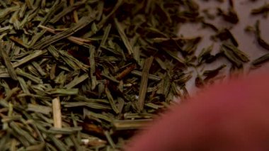 Kurumuş tıbbi at kuyruğu yaprakları ve kurutulmuş homeopatik bitkiden bir tutam alıyorum. Makro çekim