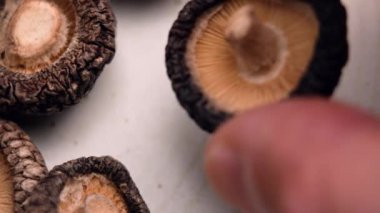 Seramik tabağa kurutulmuş şitake mantarı koymak. Çiğ yemek malzemesi. Makro çekim