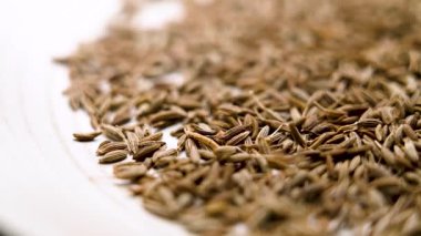 Tabağa dökülen aromatik kurutulmuş kimyon tohumları. Baharatlı Hint baharatı. Organik sağlıklı bitkisel malzeme. Makro atış. Döndürme