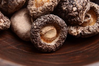 Tahta kırsal kasede çiğ kurutulmuş shiitake mantarı. Kurutulmuş yiyecekler