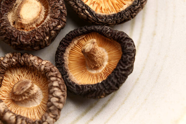 Dried shiitake mushrooms on kitchen ceramic plate. Raw dehydrated ingredient. Macro shot. 