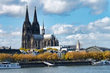 Köln, Almanya, 02 Kasım 2022: Sonbahar renkli ağaçlı eski kasaba ve kolonya katedrali manzarası