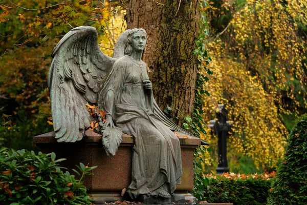 Ангел Распростертыми Крыльями Кладбище Осеннем Настроении — стоковое фото