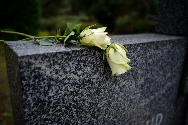 Two White Roses Lying Marble Tombstone — Stock Photo, Image