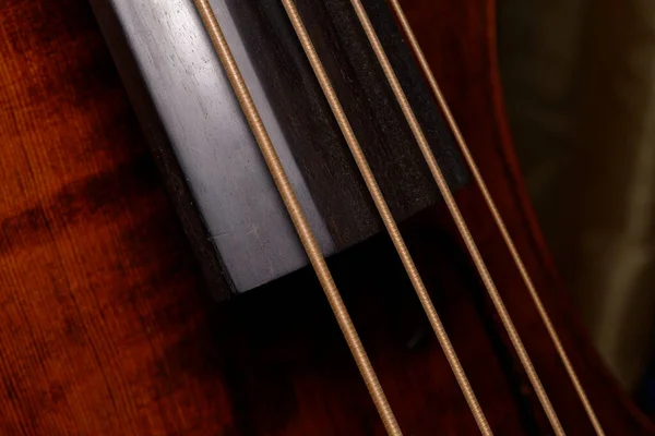 Close Four Strings Fingerboard Double Bass — Fotografia de Stock