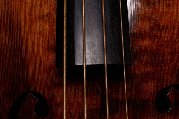 Close Four Strings Fingerboard Double Bass – stockfoto