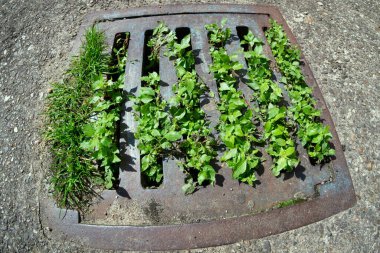 Nossa Senhora da Graca ve Igreja da Graca manastırı Lizbon 'un en yüksek tepesinde yer almaktadır.
