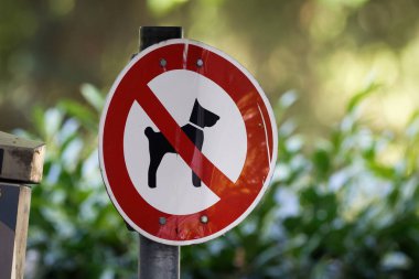 Bulanık yeşil arka planda parkın girişine köpek giremez diyen hafif eğri bir tabela.