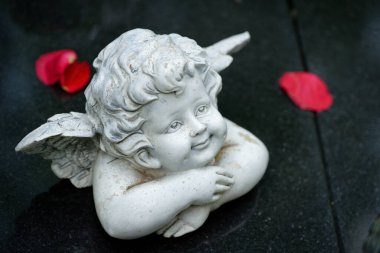 Koyu bir mezar taşında küçük bir melek, birkaç parlak kırmızı taç yaprağıyla çevrili yumuşak bir gülümsemeyle yukarı bakar.