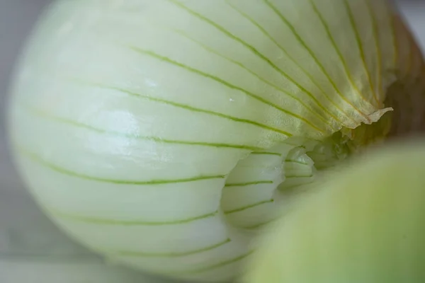 Close Green Onion Macro Photography Onion Peel — Stock Photo, Image