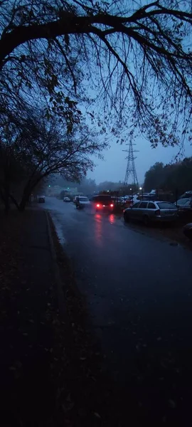 Bellissimo Paesaggio Con Auto Nebbia Stradale — Foto Stock