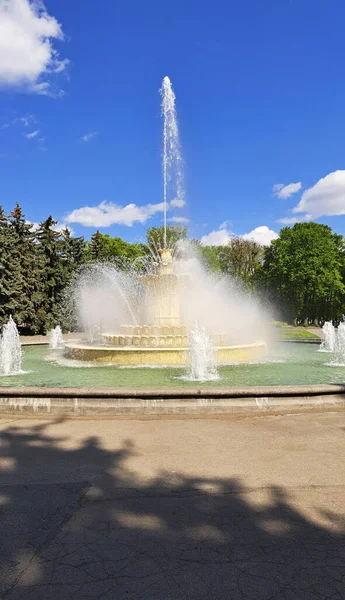 stock image Fountain in the city park in Vinnitsa Ukraine.View of the fountain against a background of green trees.