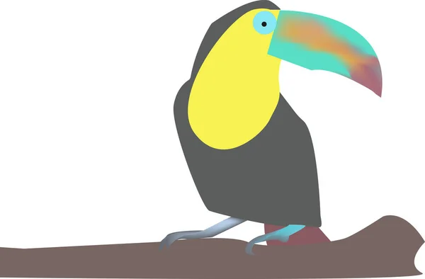 Toucan Vogel Cartoon Vector Illustratie Suoth Afrika Fauna Exotische Vogels — Stockvector
