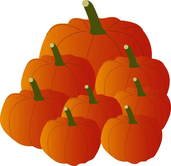 Vector Oranje Pompoenen Herfst Groenten Halloween Dankzegging Pompoenen Boerderij Markt — Stockvector