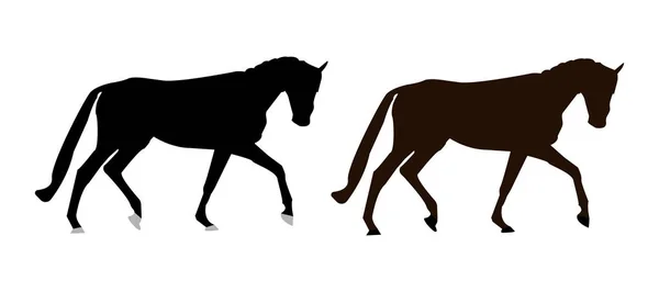 Silhouette Del Cavallo Vettoriale Isolato Stalloni Neri Marroni Cavallo Calzato — Vettoriale Stock