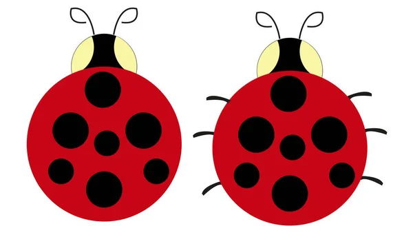 Funny Ladybugs Dotted Lady Birds Vector Illustration Isolated — Stock Vector