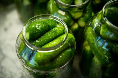 Salatalık turşusu. Salatalık turşusu. Ev yapımı turşu. Tuzlu salatalık..