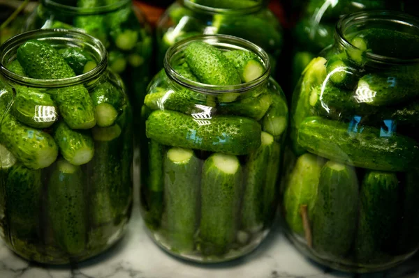 Processen Med Betningsgurkor Inlagda Gurkor Hemmagjorda Pickles Saltade Gurkor — Stockfoto