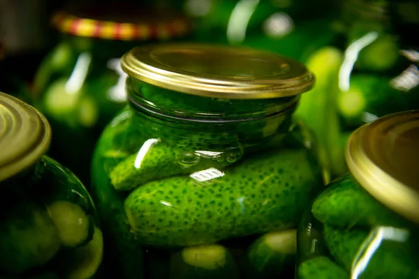 Processen Med Betningsgurkor Inlagda Gurkor Hemmagjorda Pickles Saltade Gurkor — Stockfoto