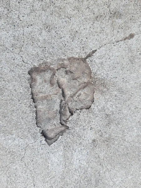 Impronta Una Foglia Autunnale Caduta Sul Cemento Grigio Asciutto Primo — Foto Stock