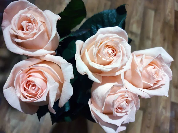 stock image Bouquet of beige roses on a gray background close-up. Roses top view.