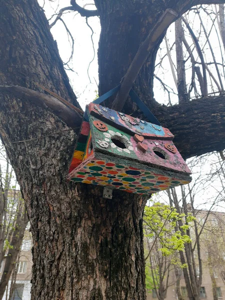 Buntes Buntes Vogelfutterhäuschen Auf Einem Baum Stadtpark Großaufnahme — Stockfoto