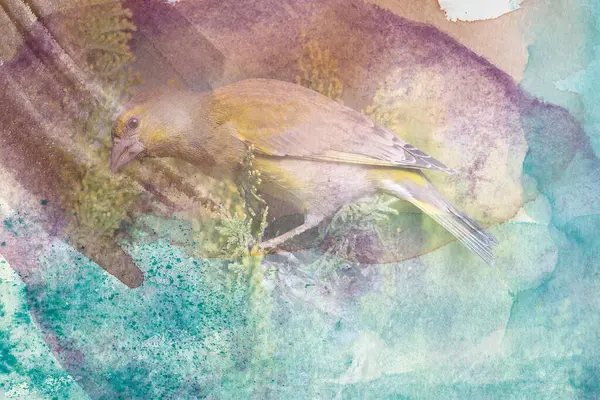 Koláž Styl Bezešvé Vzor Design Ručně Kreslený Pták Květině Dahlie — Stock fotografie