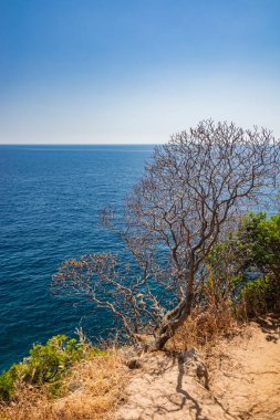 Gagliano del Capo. The beautiful panorama on the blue sea, from the rocky cliff of Salento. The nature trail that leads from the Ciolo bridge to the spectacular Cipolliane caves. Sunny day in summer.