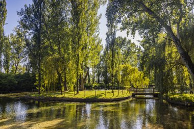 9 Temmuz 2023 Pissignano, Perugia, Umbria. Clitunno nehri kaynaklarının inanılmaz parkı. Bahçe, temiz su havuzlarında kuğular, ördekler, coypu ve diğer hayvanlarla dolu. Söğütler ve diğer ağaçlar.