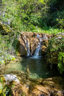 Büyüleyici Vallocchie şelalesi, Turano Gölü yakınlarındaki Castel di Tora köyünde, Rieti, Lazio, İtalya. Ormanın içindeki akarsu. Yazın sıcağında serin ve ferahlatıcı.