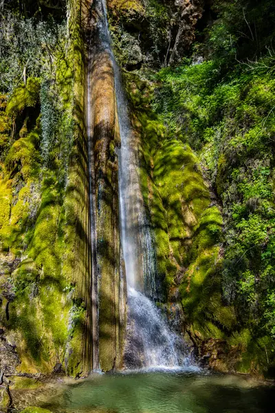 Büyüleyici Vallocchie şelalesi, Turano Gölü yakınlarındaki Castel di Tora köyünde, Rieti, Lazio, İtalya. Ormanın içindeki akarsu. Yazın sıcağında serin ve ferahlatıcı.