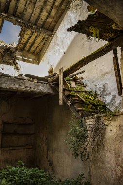 İtalya 'nın Viterbo kentindeki Montecalvello antik ortaçağ köyüne bir göz atalım. Heybetli şatonun egemen olduğu küçük kasaba. Eski yıkılmış ve terk edilmiş bir evin içi..