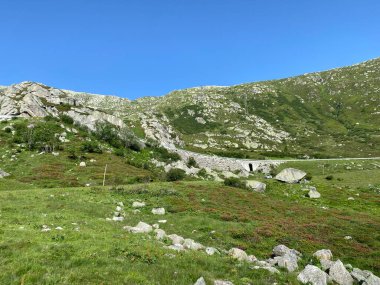 St. Gotthard Geçidi 'nin (Gotthard Geçidi) dağlık alanındaki yüksek dağlık İsviçre çayırlarında yaz atmosferi, Airolo - Ticino Kantonu (Tessin), İsviçre (Schweiz)