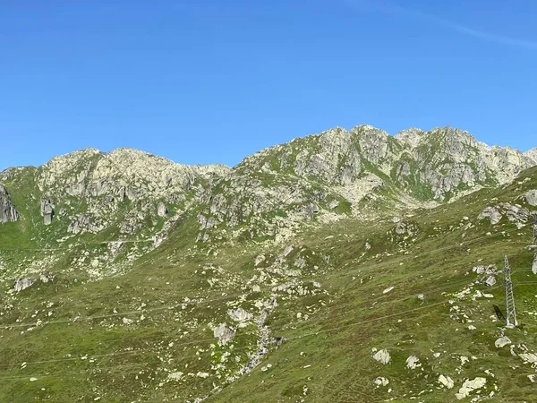 St. Gotthard Geçidi 'nin (Gotthard Geçidi) dağlık alanındaki yüksek dağlık İsviçre çayırlarında yaz atmosferi, Airolo - Ticino Kantonu (Tessin), İsviçre (Schweiz)