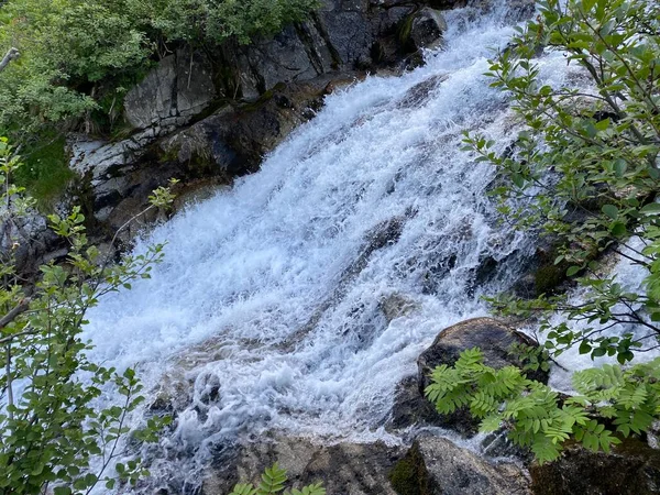 Waterfalls Cascades Alpine Stream Guspisbach Swiss Alps Area Mountain Gotthard — Stock Photo, Image