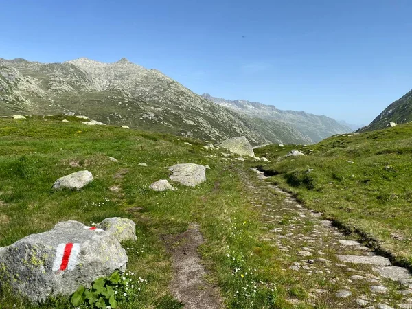 Туристичні Стежки Або Альпіністські Маршрути Осінньому Швейцарському Альпійському Середовищі Гірському — стокове фото