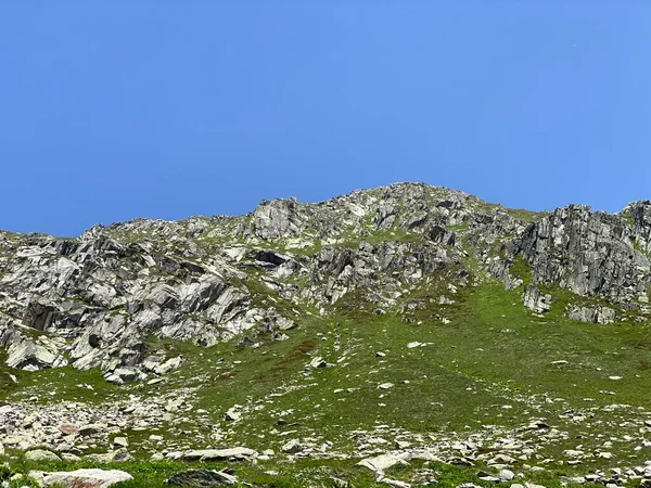 Βράχοι Και Πέτρες Στο Καλοκαιρινό Αλπικό Περιβάλλον Της Ελβετίας Και — Φωτογραφία Αρχείου