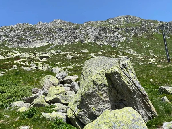 Sziklák Kövek Nyári Svájci Alpesi Környezetben Szent Gotthárd Hágón Gotthardpass — Stock Fotó