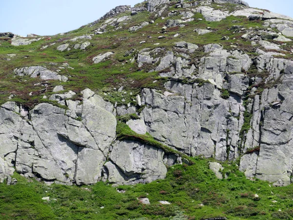 Pedras Rochas Verão Ambiente Alpino Suíço Área Montanhosa Passo São — Fotografia de Stock