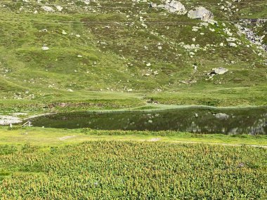 Saint Gotthard Geçidi 'nin İsviçre alp bölgesinde (Gotthard Geçidi) Lago di Rodont Gölü' nde (Rodont Gölü) yaz atmosferi, Airolo - Ticino Kantonu (Tessin), İsviçre (Schweiz)