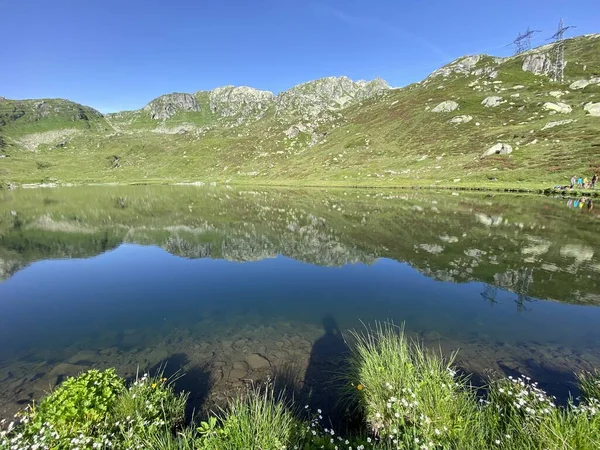 Summer Atmosphere Lago Rodont Lake Lake Rodont Swiss Alpine Area — Stock Photo, Image