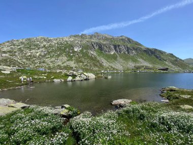 St. Gotthard Geçidi 'nin İsviçre alp bölgesinde Lago della Piazza Gölü' nde (Piazza Gölü) yaz atmosferi, Airolo - Ticino Kantonu (Tessin), İsviçre (Schweiz)