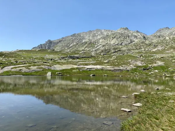 Atmosfera Estiva Sui Laghi Senza Nome Dell Area Alpina Svizzera — Foto Stock