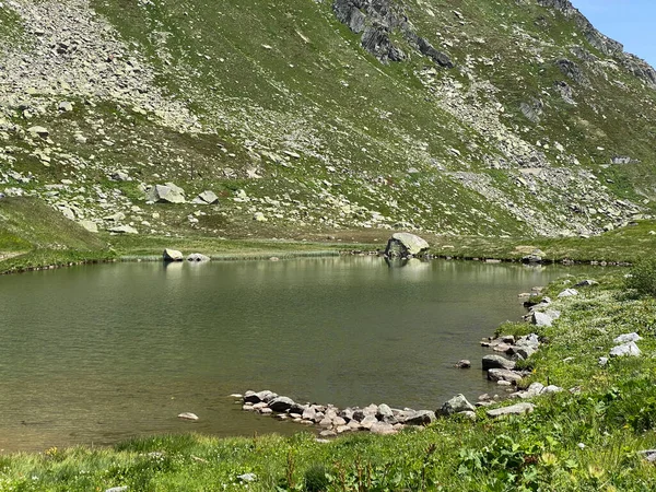 Ambiente Verano Lago Dei Monti Lago Las Montañas Zona Alpina — Foto de Stock