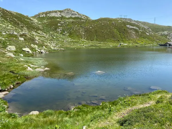 Ambiente Verano Lago Dei Morti Lago Los Muertos Totensee Zona — Foto de Stock