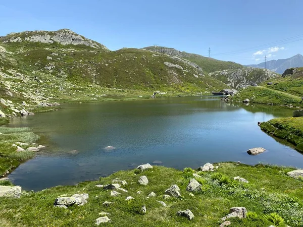 Atmosfera Estiva Sul Lago Dei Morti Lago Dei Morti Totensee — Foto Stock