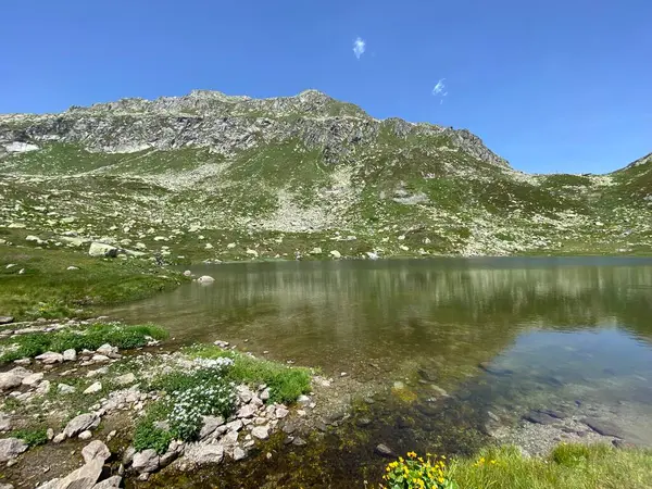 Atmosfera Estiva Sul Lago Dei Morti Lago Dei Morti Totensee — Foto Stock
